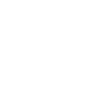 icon_audit