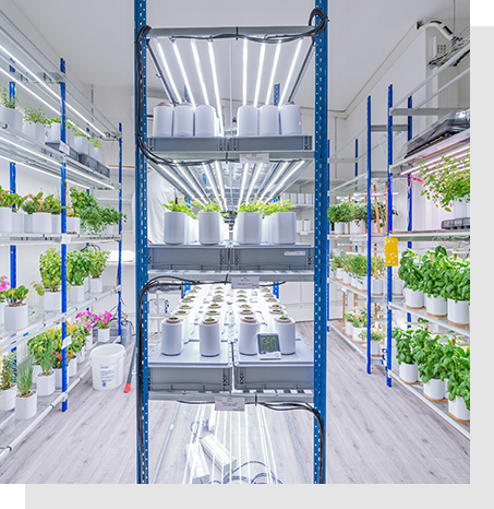 Solutions LED pour éclairage commerce ou horticulture - CisLED